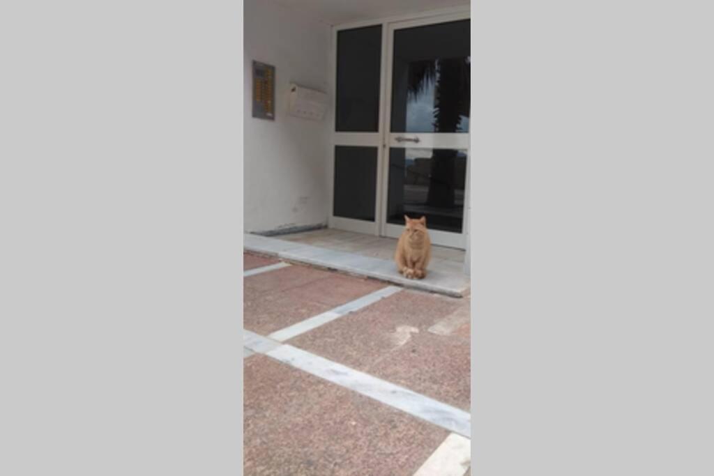Captain'S Home Loutraki Esterno foto